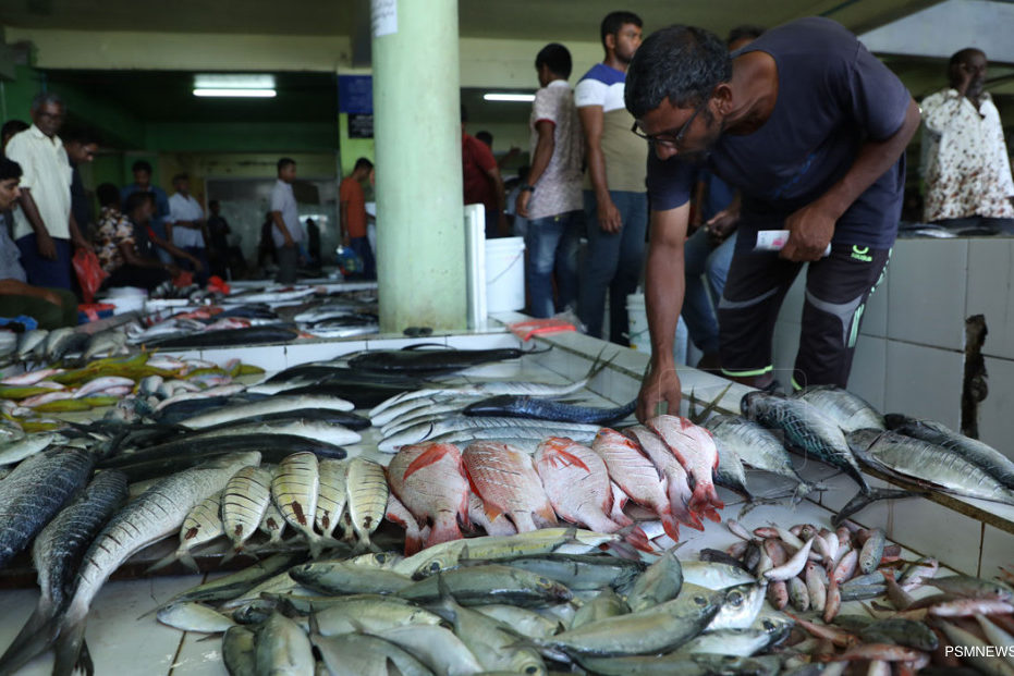 008 mas market މާލޭގެ މަސް މާރުކޭޓު