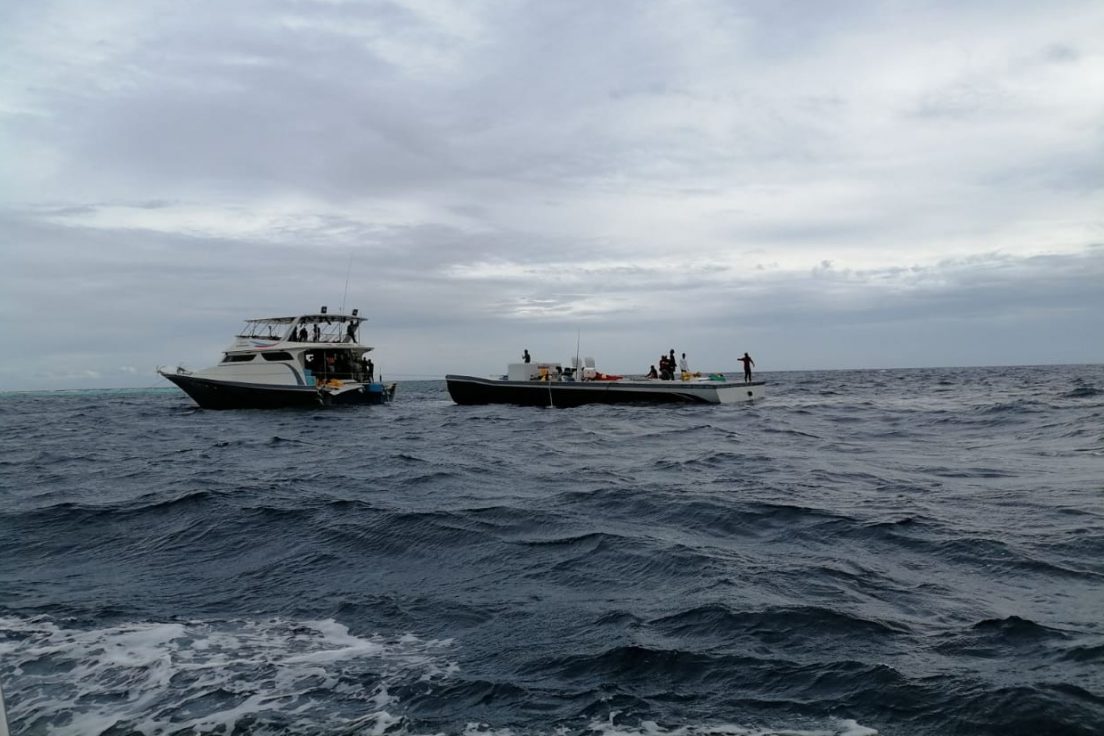 މެދުން ބިންދައިގެން ދިޔަ މޯހިރި ދޯނި