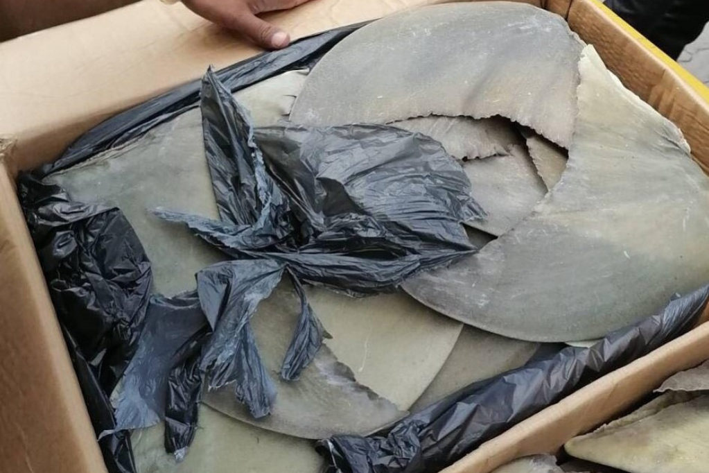 ކަސްޓަމްސްއިން ހިފެހެއްޓި މިޔަރު އުރަހަތައް