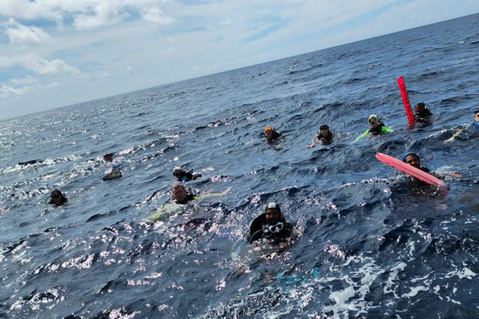 big_1Zu2Ont4qVfrab5BFd2yfgkD5