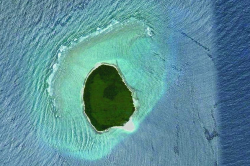 390895-3-12ee40764a0531bc5a06a0c1fb0673a30b6678d7-large-876x565