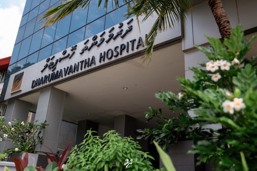 photo1707384435-850x548