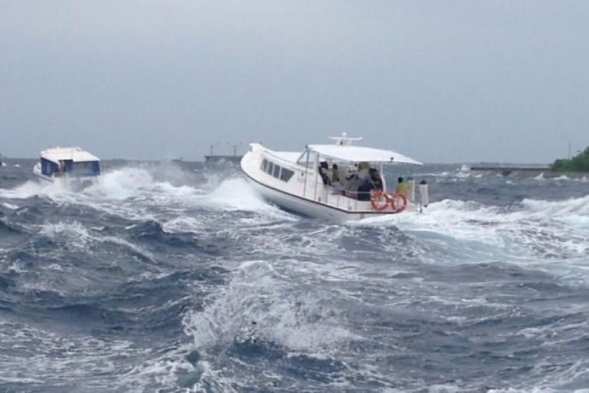 img_md_202412210618521734743932.0183