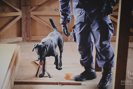 police-17