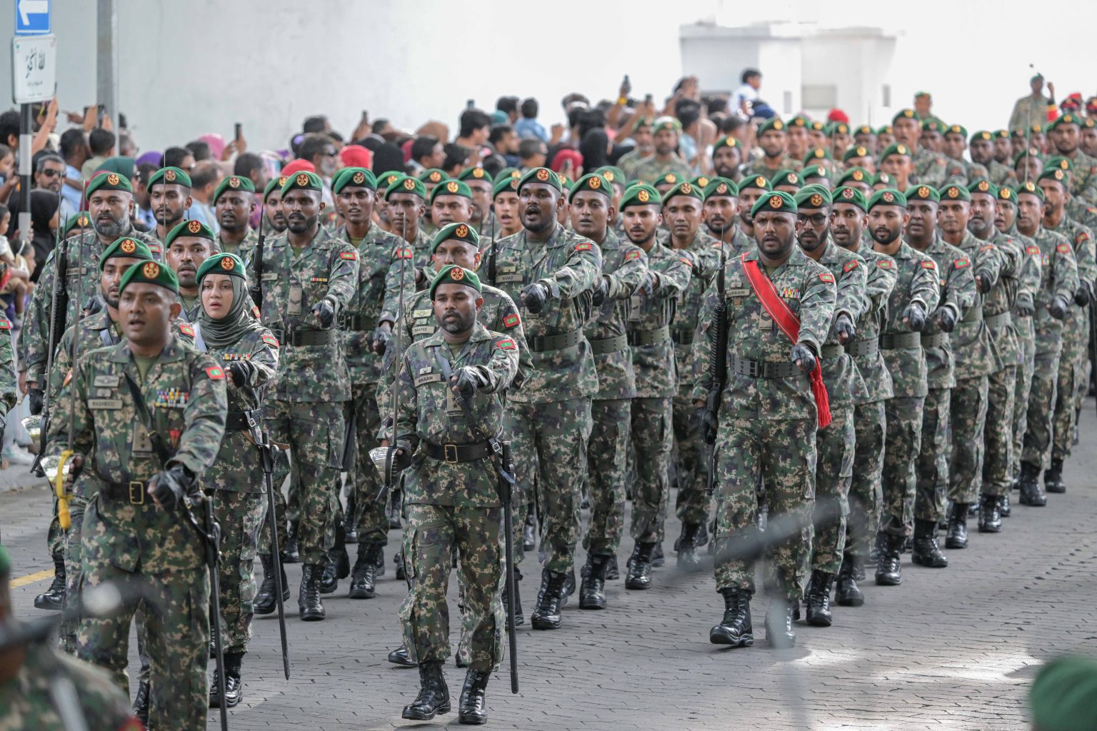 mndf-1536x1024
