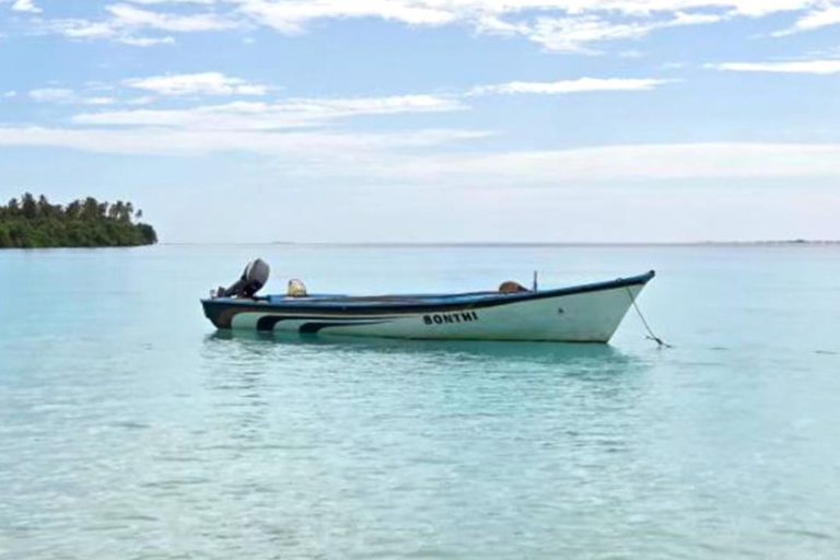mndf
