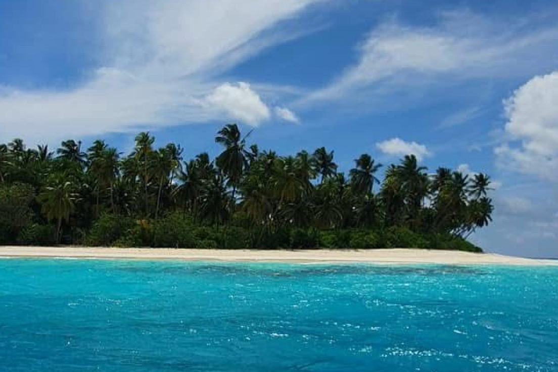 424200_3_5137d0355f9bf1fa7f02afc532cbb21416aee0e5_large