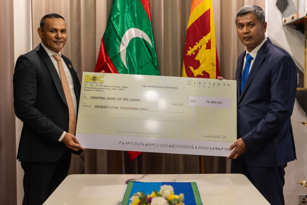 large_17645038286250BQ