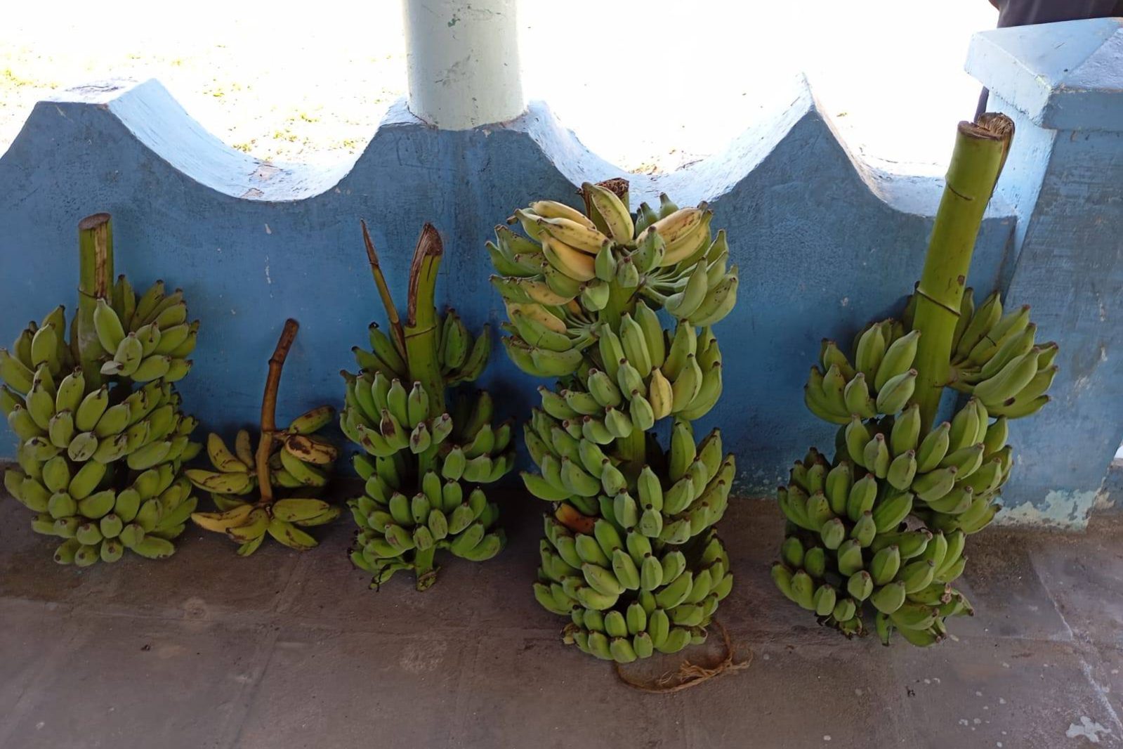 600983835_1320107883493340_8765768560765881853_n