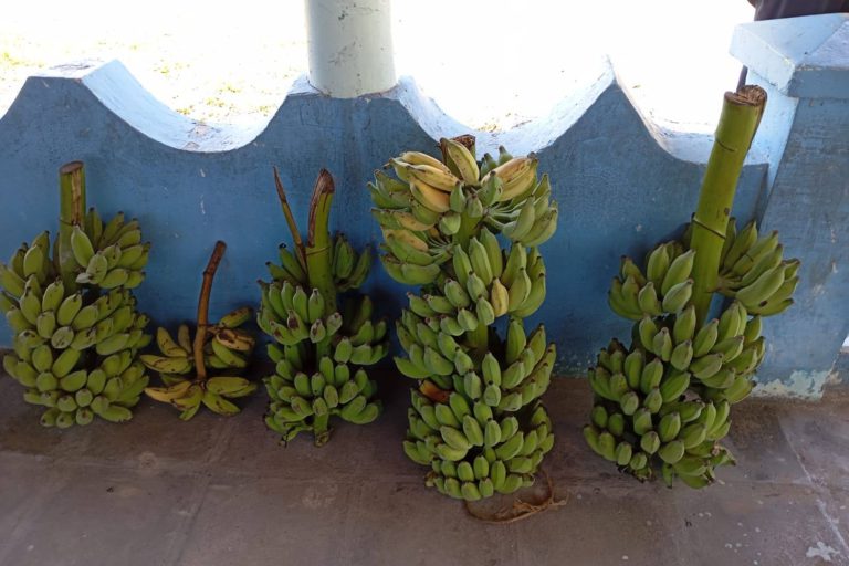 600983835_1320107883493340_8765768560765881853_n