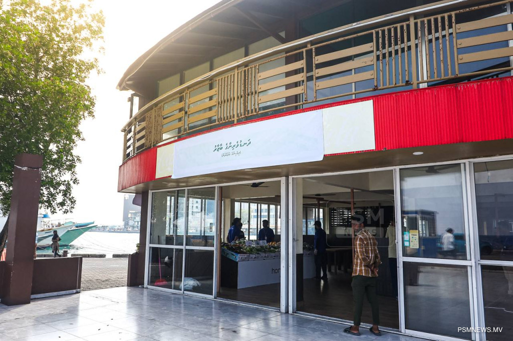 big_awgleSXpChI56pXyHFVVEGeLz